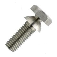 Shear Bolts